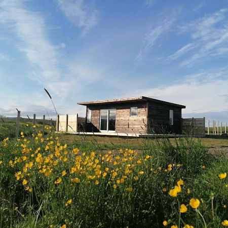 Blackwood Cottage Near Geysir Reykholt  Eksteriør bilde