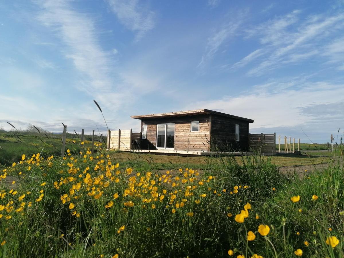 Blackwood Cottage Near Geysir Reykholt  Eksteriør bilde